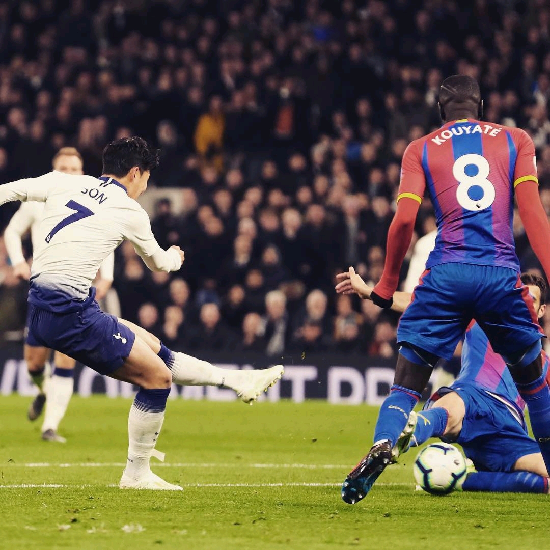 论所包围 论所包围